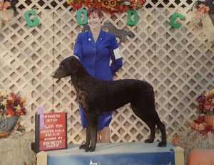 Sun Devil Waiting for the Next Suprise