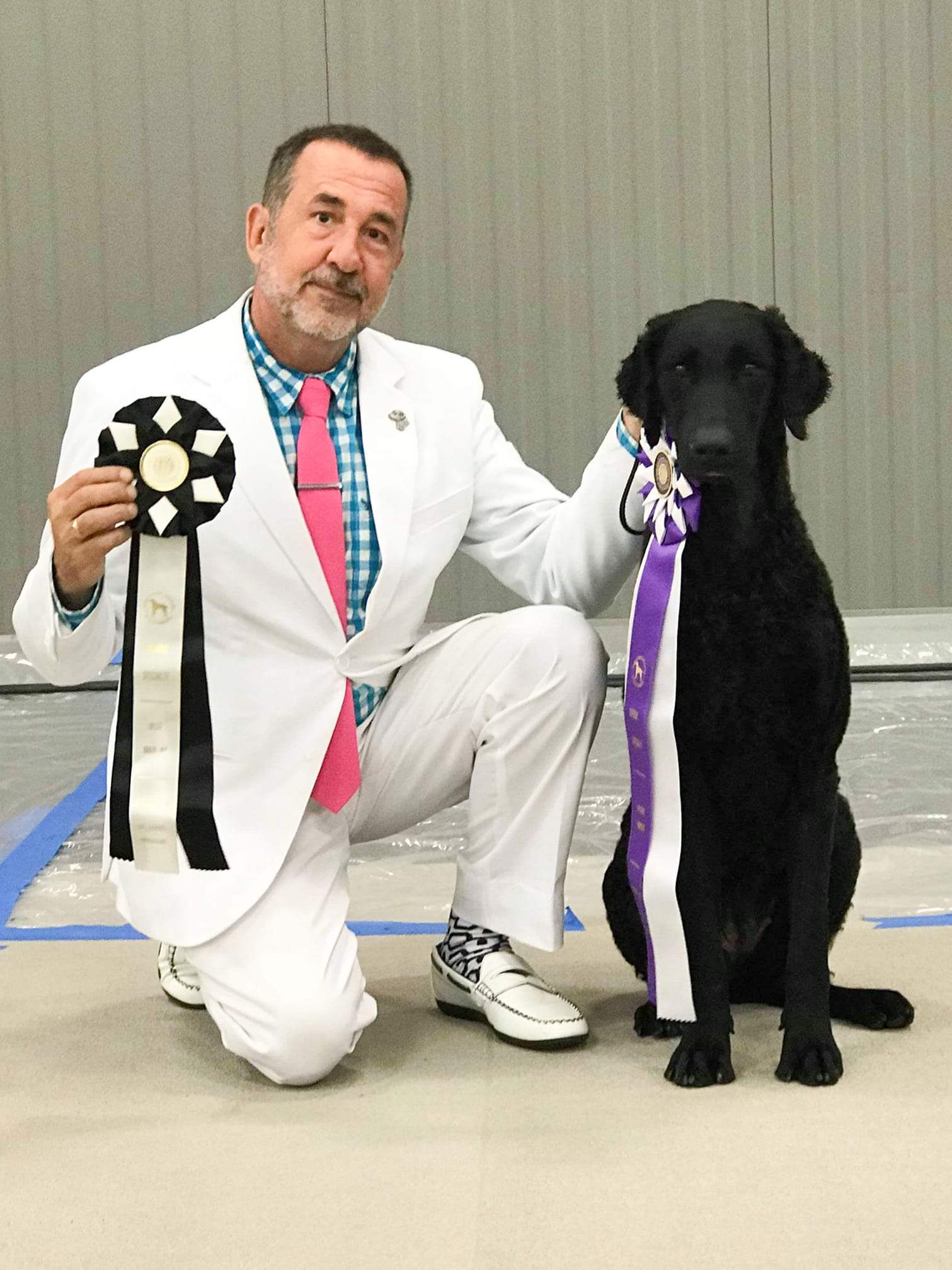 Tyneside Curlies at National Specialty show.